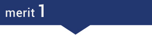 merit1